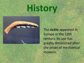 Sickle
A sickle is a
hand-held
agricultural tool
with a curved
blade used for
harvesting grain
crops or cutting
grass.
 