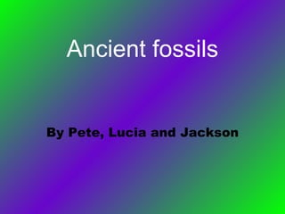 Ancient fossils By Pete, Lucia and Jackson 
