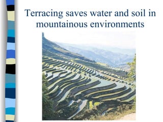 Terracing saves water and soil in mountainous environments 
