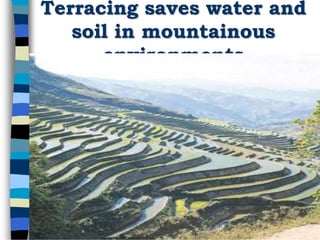 Terracing saves water and
soil in mountainous
environments
 