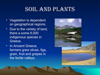 soil and plants Vegetation is dependent on geographical regions. Due to the variety of land, there a some 6,000 indigenous species in Greece. In Ancient Greece, farmers grew olives, figs, grain, fruit and grapes in the fertile valleys.  