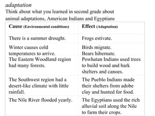 adaptation   Think about what you learned in second grade about  animal adaptations, American Indians and Egyptians   Cause  (Environmental conditions) Effect  (Adaptation) There is a summer drought. Frogs estivate. Winter causes cold temperatures to arrive. Birds migrate. Bears hibernate. The Eastern Woodland region had many forests. Powhatan Indians used trees to build wood and bark shelters and canoes. The Southwest region had a desert-like climate with little rainfall. The Pueblo Indians made their shelters from adobe clay and hunted for food. The Nile River flooded yearly. The Egyptians used the rich alluvial soil along the Nile to farm their crops. 