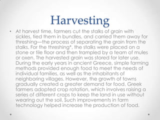 Ancient greek agriculture