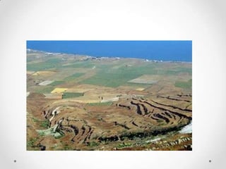 Ancient greek agriculture