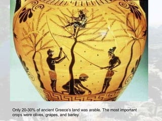 Only 20-30% of ancient Greece’s land was arable. The most important
crops were olives, grapes, and barley.
 