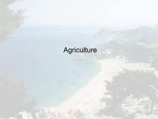 Agriculture
 