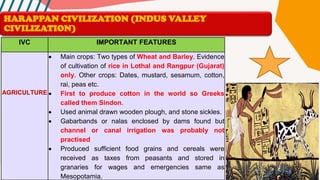 IVC IMPORTANT FEATURES
AGRICULTURE
• Main crops: Two types of Wheat and Barley. Evidence
of cultivation of rice in Lothal and Rangpur (Gujarat)
only. Other crops: Dates, mustard, sesamum, cotton,
rai, peas etc.
• First to produce cotton in the world so Greeks
called them Sindon.
• Used animal drawn wooden plough, and stone sickles.
• Gabarbands or nalas enclosed by dams found but
channel or canal irrigation was probably not
practised
• Produced sufficient food grains and cereals were
received as taxes from peasants and stored in
granaries for wages and emergencies same as
Mesopotamia.
HARAPPAN CIVILIZATION (INDUS VALLEY
CIVILIZATION)
 