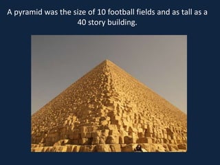 A pyramid was the size of 10 football fields and as tall as a
                   40 story building.
 