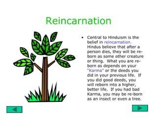 Reincarnation
• Central to Hinduism is the
belief in reincarnation.
Hindus believe that after a
person dies, they will be re-
born as some other creature
or thing. What you are re-
born as depends on your
“Karma” or the deeds you
did in your previous life. If
you did good deeds, you
will reborn into a higher,
better life. If you had bad
Karma, you may be re-born
as an insect or even a tree.
 