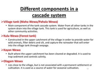 Village tank (Maha Wewa/Pahala Wewa)
• Main component of the tank cascade system. Water from all other tanks in the
system drain into the village tank. This tank is used for agriculture, as well as
other community activities.
Kulu Wewa (Forest tank)
• Constructed in the upper catchment of the village in order to provide water for
wild animals, filter debris and silt, and capture the rainwater that will enter
into the village tank through seepage.
Kayan Wewa
• Built where the upper catchment has been cleared or degraded. It is used to
trap sediment and controls salinity.
Olagam Wewa
• Lies close to the village, but is not associated with a permanent settlement or
cultivation. It is used as a source of water for seasonal cultivation.
Different components in a
cascade system
13
 