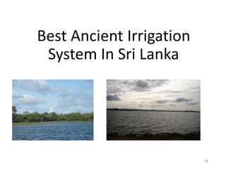 Best Ancient Irrigation
System In Sri Lanka
14
 