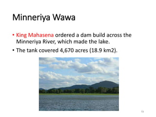Minneriya Wawa
• King Mahasena ordered a dam build across the
Minneriya River, which made the lake.
• The tank covered 4,670 acres (18.9 km2).
19
 