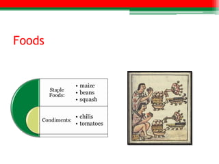 Foods


                  • maize
        Staple
        Foods:    • beans
                  • squash

                  • chilis
    Condiments:
                  • tomatoes
 