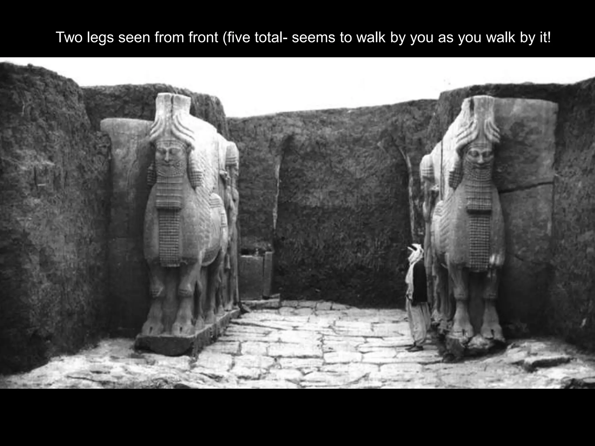 Two legs seen from front (five total- seems to walk by you as you walk by it!
 