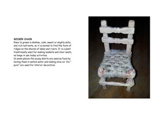 WICKER CHAIR
Enea to grown is shallow, calm, sweet or slighty salty
and rich nutrients, so it is normal to find the form of
ridges on the shores of lakes and rivers. It is a plant
traditionally used for making baskets and chair seats,
no longe in use today activities.
In some places the young shorts are used as food by
boiling them in salted water and adding olive oil. His “
pure” are used for interior decoration.
 