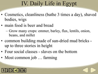 IV. Daily Life in Egypt Cosmetics, cleanliness (bathe 3 times a day), shaved bodies, wigs main food is beer and bread Grow many crops: emmer, barley, flax, lentils, onion, beans, and millet common building made of sun-dried mud bricks - up to three stories in height Four social classes - slaves on the bottom Most common job … farming 2 3 4 5 1 6 