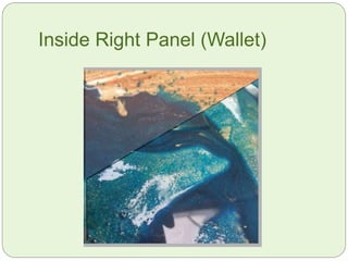 Inside Right Panel (Wallet)
 