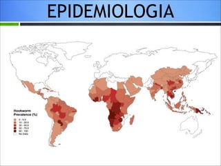 EPIDEMIOLOGIA

 