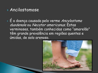  Ancilostomose
 É a doença causada pelo verme Ancylostoma
duodenale ou Necator americanus. Estas
verminoses, também conhecidas como “amarelão”
têm grande prevalência em regiões quentes e
úmidas, de solo arenoso.
 