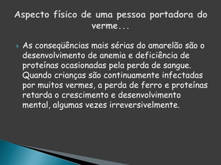  As conseqüências mais sérias do amarelão são o
desenvolvimento de anemia e deficiência de
proteínas ocasionadas pela perda de sangue.
Quando crianças são continuamente infectadas
por muitos vermes, a perda de ferro e proteínas
retarda o crescimento e desenvolvimento
mental, algumas vezes irreversivelmente.
 