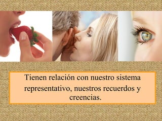 Tienen relación con nuestro sistema representativo, nuestros recuerdos y creencias. 