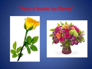 "Para y huele las flores"