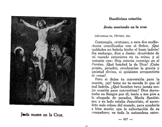 Duodécima estación
Jesús muriendo en la cruz
Adoramus te, Christe, etc.
Contempla, cristiano, a esos dos malhe-
chores crucificados con el Señor. ¡Qué
maldades no habría hecho el buen ladrón!
Sin embargo, dice a Jesús: Acuérdate de
mí cuando estuvieres en tu reino; y al
instante oye: Hoy estarás conmigo en el
Paraíso. ¡Qué bondad la de Dios! ¡Cuan
pronto, pecador, recobrarías la gracia y
amistad divina, si quisieses arrepentirte
de veras!
Pero si dejas tu conversión para la
muerte, ¡ay! teme no te suceda lo que al
mal ladrón. ¿Qué hombre tuvo jamás me-
jor ocasión para convertirse? Dios derra-
maba su Sangre por él; tenía a sus pies a
la abogada de pecados, María Santísi-
ma; a su lado estaba Jesucristo, el sacer-
dote más celoso del mundo, para ayudarle
a bien morir; oye la exhortación de su
compañero; ve toda la naturaleza estre-
— 407 —
 