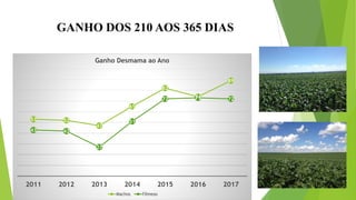 GANHO DOS 210 AOS 365 DIAS
53 52
47
65
82
74
89
43 42
27
51
72 73 72
2011 2012 2013 2014 2015 2016 2017
Ganho Desmama ao Ano
Machos Fêmeas
 