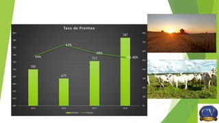 700
675
723
787
54%
67%
58%
53.40%
0%
10%
20%
30%
40%
50%
60%
70%
80%
600
620
640
660
680
700
720
740
760
780
800
2015 2016 2017 2018
Taxa de Prenhez
Novilhas Prenhez
 
