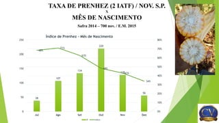 TAXA DE PRENHEZ (2 IATF) / NOV. S.P.
X
MÊS DE NASCIMENTO
Safra 2014 – 700 nov. / E.M. 2015
38
107
134
220
128
56
68%
71%
63%
48%
43%
34%
0
50
100
150
200
250
Jul Ago Set Out Nov Dez
0%
10%
20%
30%
40%
50%
60%
70%
80%
Índice de Prenhez - Mês de Nascimento
N Indice
 