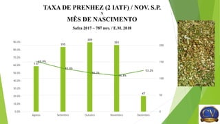 TAXA DE PRENHEZ (2 IATF) / NOV. S.P.
X
MÊS DE NASCIMENTO
Safra 2017 – 787 nov. / E.M. 2018
137
195
209
201
47
65.0%
55.9%
50.2%
46.8%
53.2%
0.0%
10.0%
20.0%
30.0%
40.0%
50.0%
60.0%
70.0%
80.0%
90.0%
Agosto Setembro Outubro Novembro Dezembro
0
50
100
150
200
 