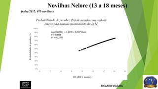 0%
10%
20%
30%
40%
50%
60%
70%
80%
90%
100%
0 2 4 6 8 10 12 14 16
Probabilidadedeprenhez,%
IDADE ( meses)
Probabilidade de prenhez (%) de acordo com o idade
(meses) da novilha no momento da IATF
Logit(IDADE) = -1.6978 + 0.201*Idade
P = 0.0014
R2 = 0.12270
Novilhas Nelore (13 a 18 meses)
RICARDO VIACAVA
(safra 2017; 675 novilhas)
 