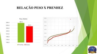 RELAÇÃO PESO X PRENHEZ
287.0
264.0
150.0
170.0
190.0
210.0
230.0
250.0
270.0
290.0
Peso Médio
Prenhas Vazias 150.0
200.0
250.0
300.0
350.0
400.0
450.0
500.0
0 50 100 150 200 250 300 350 400
 
