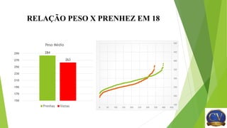 RELAÇÃO PESO X PRENHEZ EM 18
0 50 100 150 200 250 300 350 400 450
150
200
250
300
350
400
450
500
284
263
150
170
190
210
230
250
270
290
Peso Médio
Prenhas Vazias
 