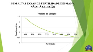 SEM ALTAS TAXAS DE FERTILIDADE/DESMAMA
NÃO HÁ SELEÇÃO
0
0.5
1
1.5
2
2.5
90% 85% 80% 75% 70% 65% 60% 55%
TaxaReposição
Fertilidade
Pressão de Seleção
 