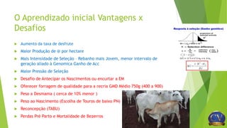 O Aprendizado inicial Vantagens x
Desafios
 Aumento da taxa de desfrute
 Maior Produção de @ por hectare
 Mais Intensidade de Seleção – Rebanho mais Jovem, menor intervalo de
geração aliado à Genomica Ganho de Acc
 Maior Pressão de Seleção
 Desafio de Antecipar os Nascimentos ou encurtar a EM
 Oferecer forragem de qualidade para a recria GMD Médio 750g (400 a 900)
 Peso a Desmama ( cerca de 10% menor )
 Peso ao Nascimento (Escolha de Touros de baixo PN)
 Reconcepção (TABU)
 Perdas Pré Parto e Mortalidade de Bezerros
 