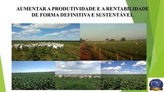 AUMENTAR A PRODUTIVIDADE E A RENTABILIDADE
DE FORMA DEFINITIVA E SUSTENTÁVEL
 