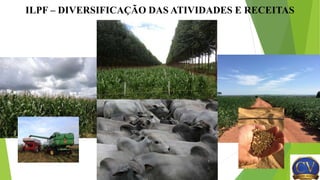ILPF – DIVERSIFICAÇÃO DAS ATIVIDADES E RECEITAS
 