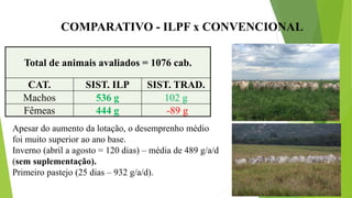 COMPARATIVO - ILPF x CONVENCIONAL
Apesar do aumento da lotação, o desemprenho médio
foi muito superior ao ano base.
Inverno (abril a agosto = 120 dias) – média de 489 g/a/d
(sem suplementação).
Primeiro pastejo (25 dias – 932 g/a/d).
Total de animais avaliados = 1076 cab.
CAT. SIST. ILP SIST. TRAD.
Machos 536 g 102 g
Fêmeas 444 g -89 g
 