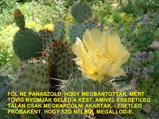 FÖL NE PANASZOLD, HOGY MEGBÁNTOTTAK, MERT TÖVIG NYOMJÁK BELÉD A KÉST, AMIVEL EREDETILEG TALÁN CSAK MEGKARCOLNI AKARTAK, - ESETLEG PRÓBAKÉNT, HOGY SZÓ NÉLKÜL MEGÁLLOD-E. 