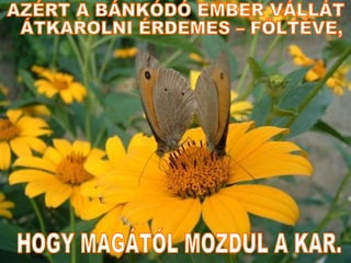 AZÉRT A BÁNKÓDÓ EMBER VÁLLÁT ÁTKAROLNI ÉRDEMES – FÖLTÉVE,  HOGY MAGÁTÓL MOZDUL A KAR. 