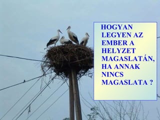 HOGYAN LEGYEN AZ EMBER A HELYZET MAGASLATÁN, HA ANNAK NINCS MAGASLATA ? 