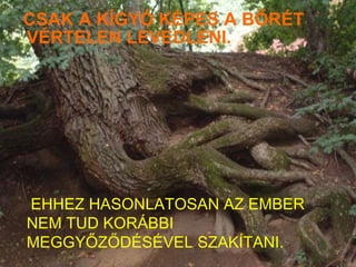 CSAK A KÍGYÓ KÉPES A BŐRÉT VÉRTELEN LEVEDLENI. EHHEZ HASONLATOSAN AZ EMBER NEM TUD KORÁBBI MEGGYŐZŐDÉSÉVEL SZAKÍTANI. 