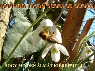 HOGY MINDEN ÁLMÁT KIÉRDEMELJE. ANNYIRA TALÁN SENKI SE BŰNÖS,  