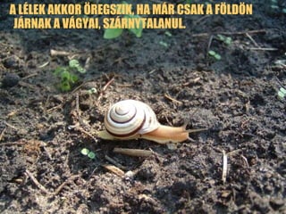 A LÉLEK AKKOR ÖREGSZIK, HA MÁR CSAK A FÖLDÖN JÁRNAK A VÁGYAI, SZÁRNYTALANUL. 