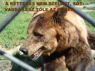 A RETTEGÉS NEM SZELÍDÍT, SŐT: VADDÁ LESZ TŐLE AZ EMBER. 