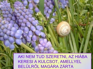 AKI NEM TUD SZERETNI, AZ HIÁBA KERESI A KULCSOT, AMELLYEL BELÜLRŐL MAGÁRA ZÁRTA AJTAJÁT. 