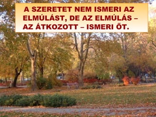 A SZERETET NEM ISMERI AZ ELMÚLÁST, DE AZ ELMÚLÁS – AZ ÁTKOZOTT – ISMERI ŐT. 