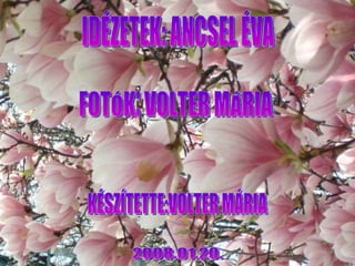 IDÉZETEK: ANCSEL ÉVA FOTÓK: VOLTER MÁRIA KÉSZÍTETTE:VOLTER MÁRIA 2008.01.20. 