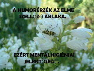 A HUMORÉRZÉK AZ ELME SZELLŐZŐ ABLAKA.   EZÉRT MENTÁLHIGIÉNIAI  JELENTŐSÉGŰ. 
